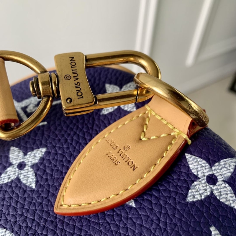 LV Travel Bags